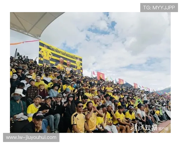 藏族牦牛踏绿茵放歌演绎高原奇趣足球传奇盛会奇幻夜巡礼盛典故事